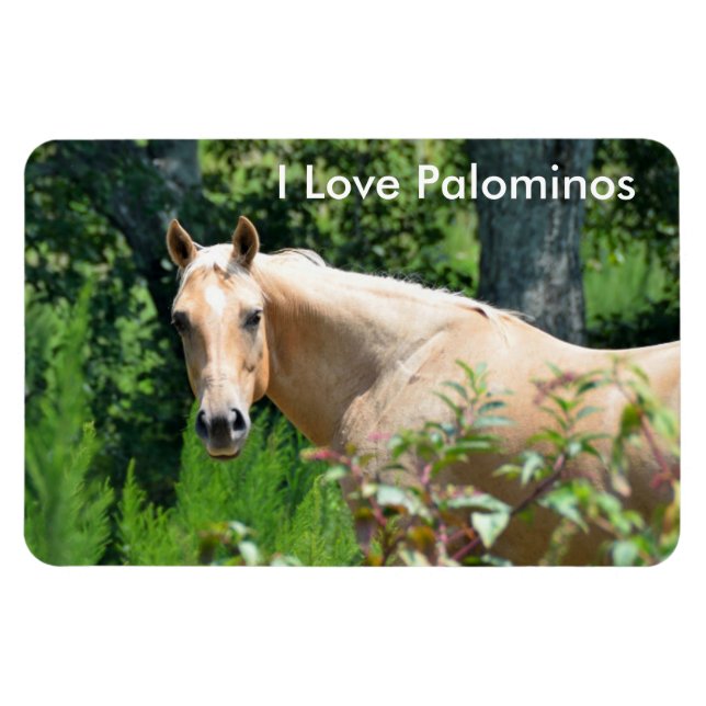 Imán Magnate flexible para caballos de Palomino (Horizontal)