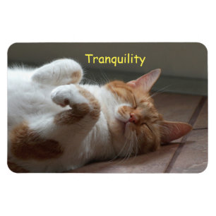 Imán Magnate flexible para el sueño del gato