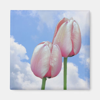 Imán Magnate floral azul cielo tulipano rosa