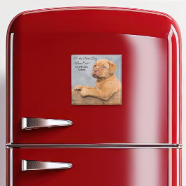 Imán Magnate fotográfico de la mejor madre del perro de