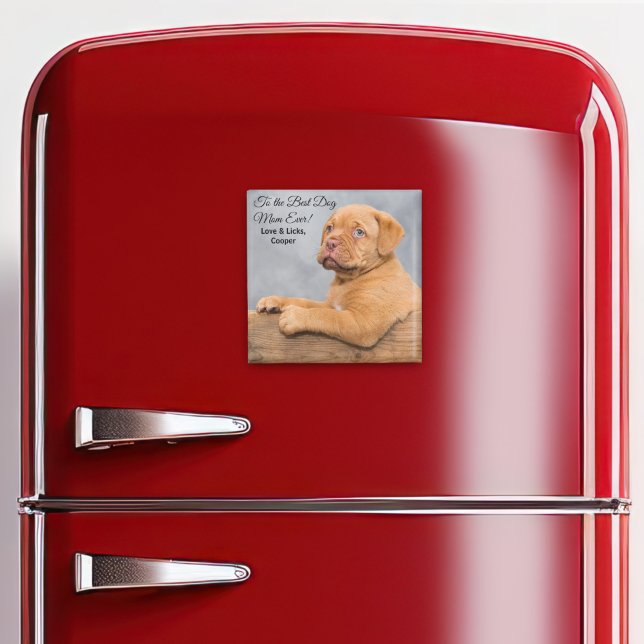 Imán Magnate fotográfico de la mejor madre del perro de (Subido por el creador)