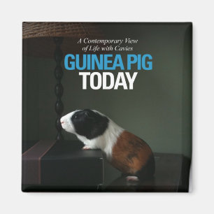 Imán Magnate fotográfico de Pig Today en Guinea
