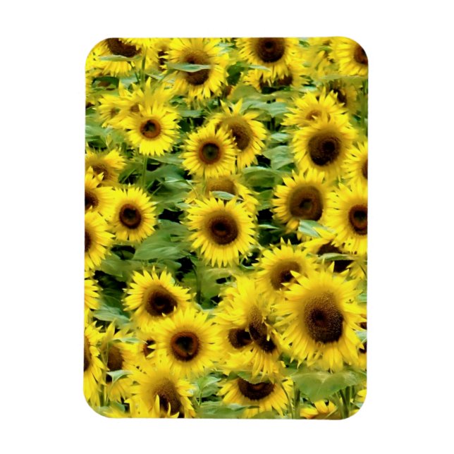 Imán Magnate fotográfico flexible (Vertical)