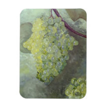 Magnate fotográfico flexible