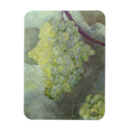 Imán Magnate fotográfico flexible