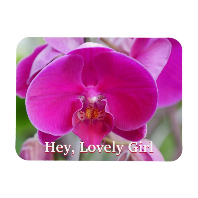 Imán Magnate fotográfico flexible (Horizontal)