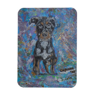 Imán Magnate fotográfico flexible