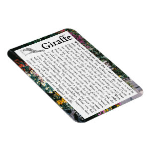 Imán Magnate fotográfico flexible