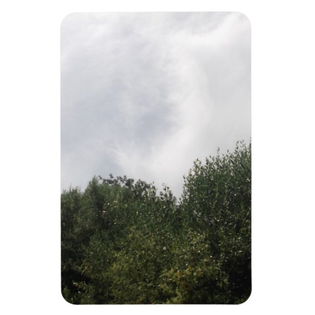 Imán Magnate fotográfico flexible (Vertical)