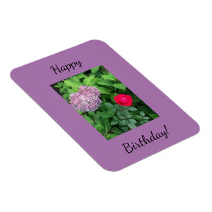 Imán Magnate fotográfico flexible