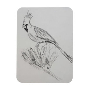 Imán Magnate fotográfico flexible cardinal