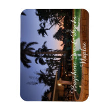 Magnate fotográfico flexible de 3" x 4"