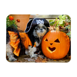 Imán Magnate fotográfico flexible de Chica pirata Shih 