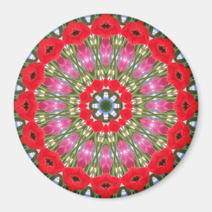 Imán Magnate geométrico Kaleidoscope