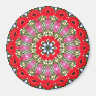 Imán Magnate geométrico Kaleidoscope