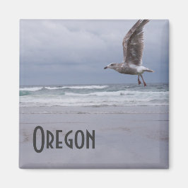 Imán Magnate gitano marino