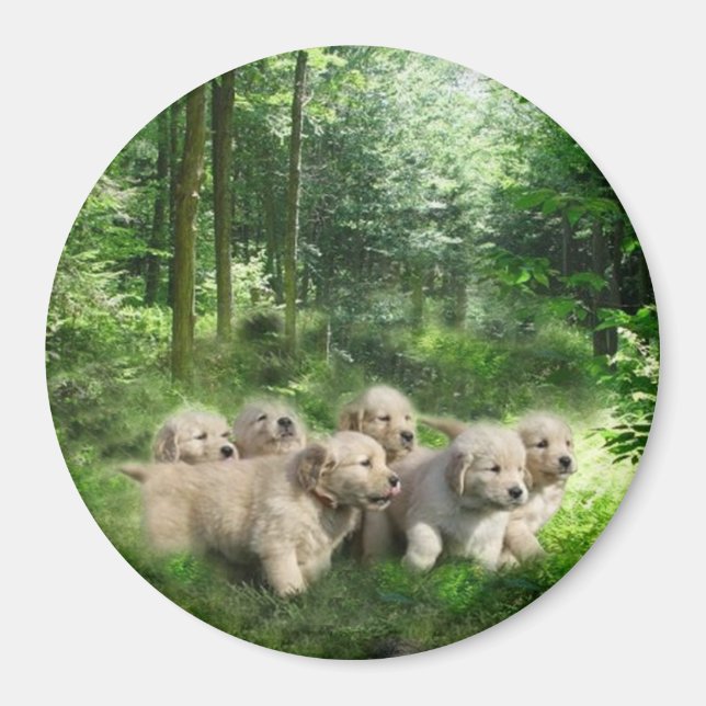 Imán Magnate Golden Puppies (Frente)