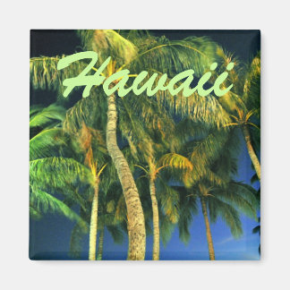 Imán Magnate Hawaii Palm Tree