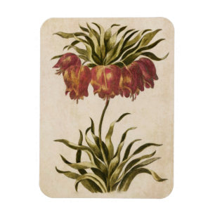 Imán Magnate imperial de la corona floral botánica vint