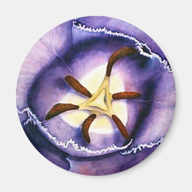 Imán Magnate interior de Tulip (Frente)