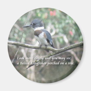 Imán Magnate Kingfisher