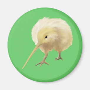 Imán Magnate kiwi
