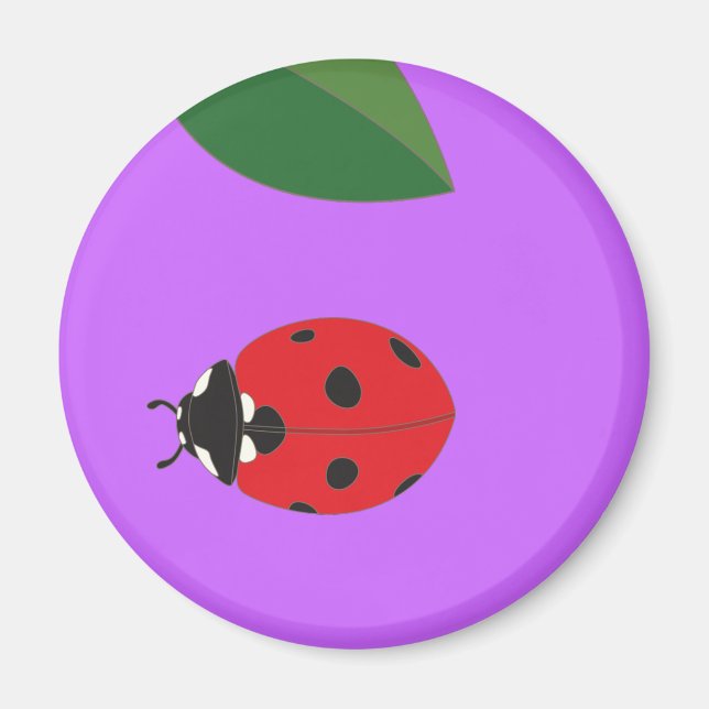 Imán Magnate Ladybirds (Frente)