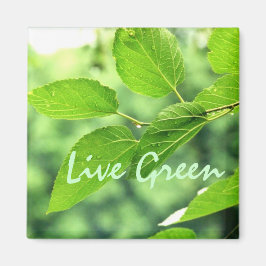 Imán Magnate 'Live Green'