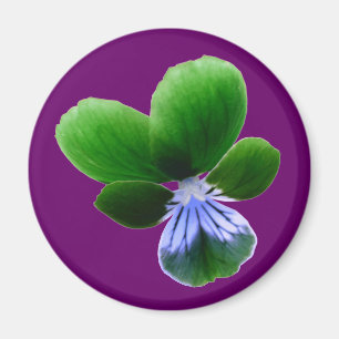 Imán Magnate Pansy Verde