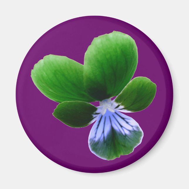 Imán Magnate Pansy Verde (Frente)