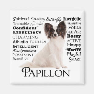 Imán Magnate Papillon Traits