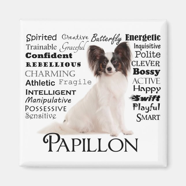 Imán Magnate Papillon Traits (Frente)