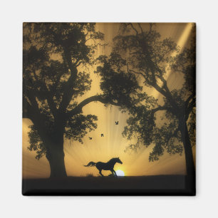 Imán Magnate para caballos libre de Galloping de Bonito