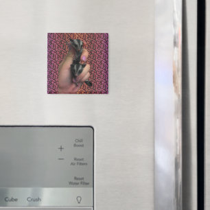 Imán Magnate para el brillo del azúcar del bebé