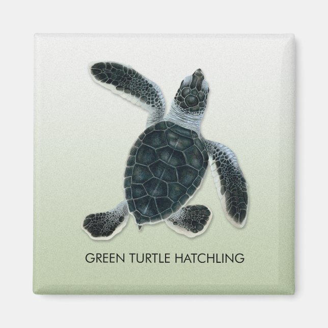 Imán Magnate para el odio de la tortuga verde (Frente)
