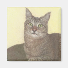 Imán Magnate para gatos abisinos