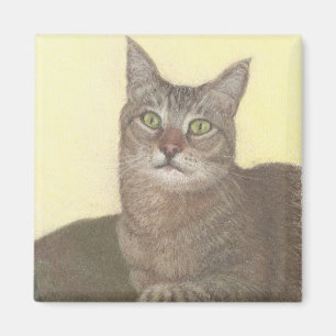 Imán Magnate para gatos abisinos