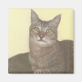 Imán Magnate para gatos abisinos