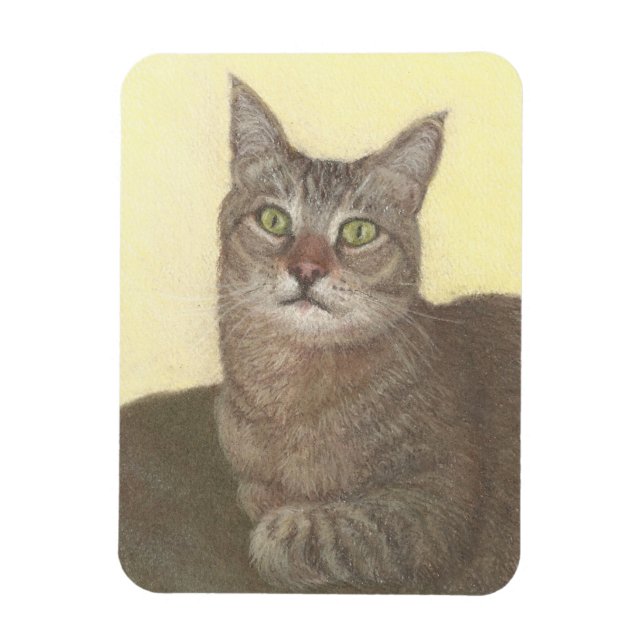 Imán Magnate para gatos abisinos (Vertical)