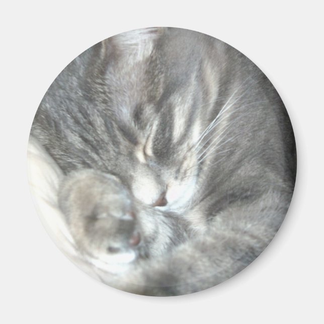 Imán Magnate para gatos durmientes (Frente)