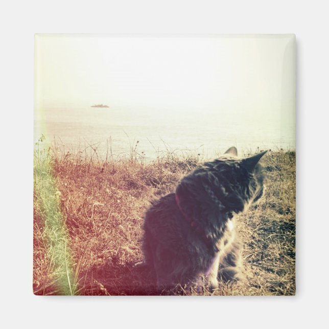 Imán Magnate para gatos vintage (Frente)