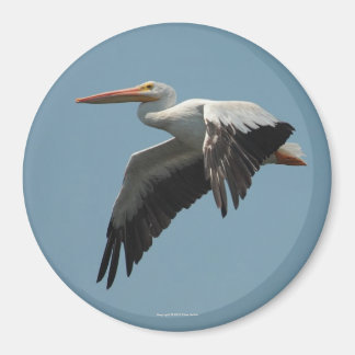 Imán Magnate Pelican 5