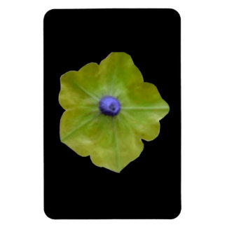 Imán Magnate Petunia Green and Blue Premium