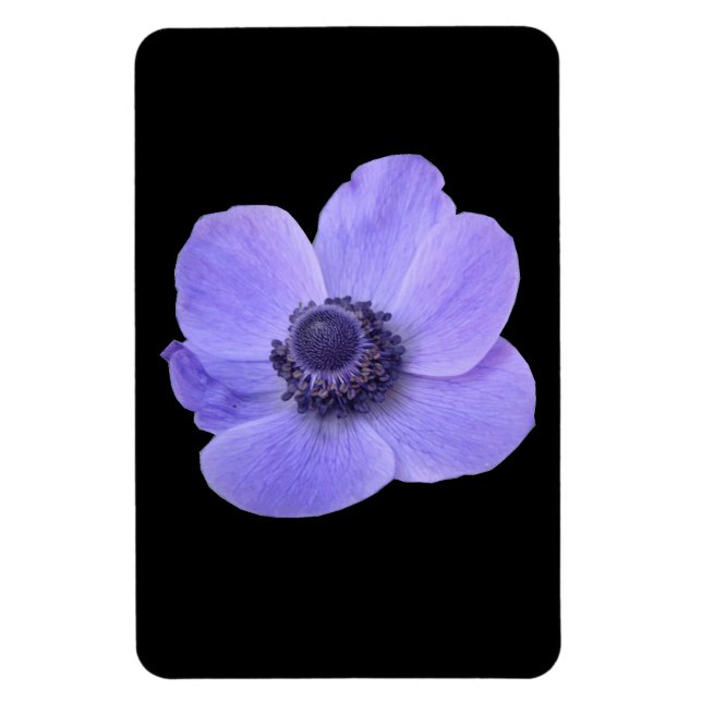 Imán Magnate Premium Anemone Azul (Vertical)