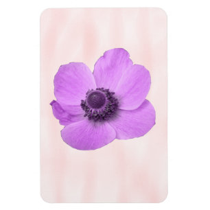 Imán Magnate Premium Anemone Rosa