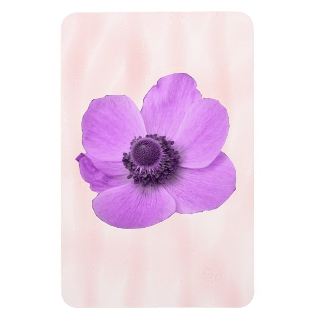 Imán Magnate Premium Anemone Rosa (Vertical)