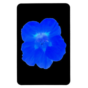 Imán Magnate Premium Blue Nasturtium