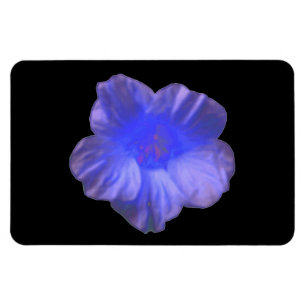 Imán Magnate Premium de Flores de Nasturcio Azul