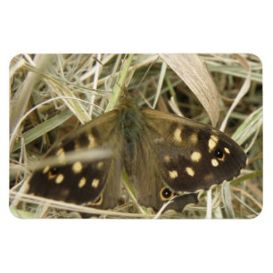 Imán Magnate premium de mariposa de madera escamada