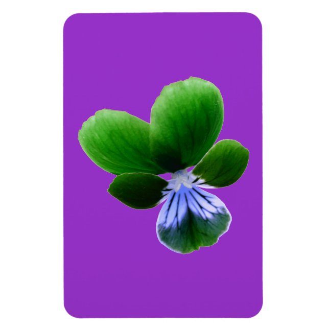 Imán Magnate Premium Green Pansy (Vertical)